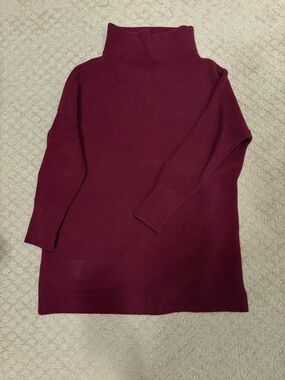 Free People Berry Turtleneck Tunic Sweater